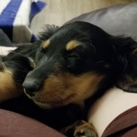 Meet your Posher, Rebecca - Picture 1 of 1